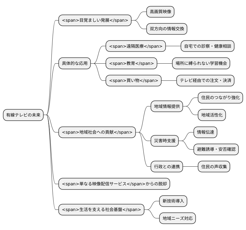 今後の展望
