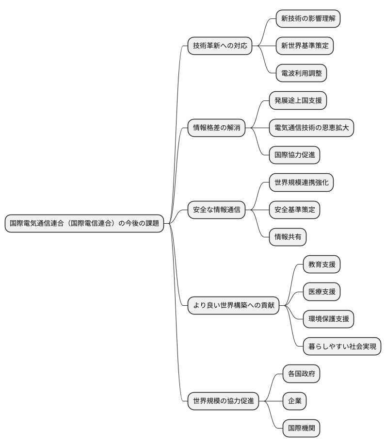 今後の展望