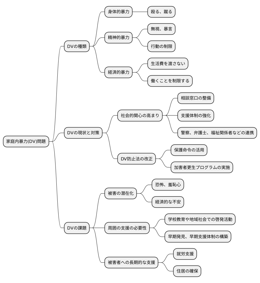 DVの現状と将来