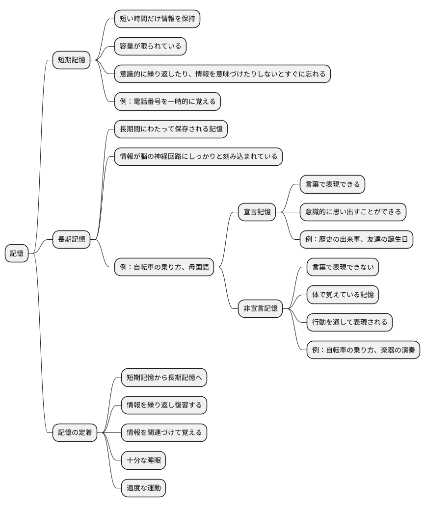 記憶の仕組み